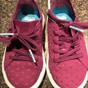 Toddler NATIVE brand sneakers
